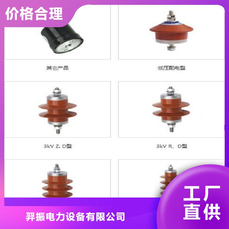 【避雷器】Y10W1-96/238-上海羿振電力設備有限公司