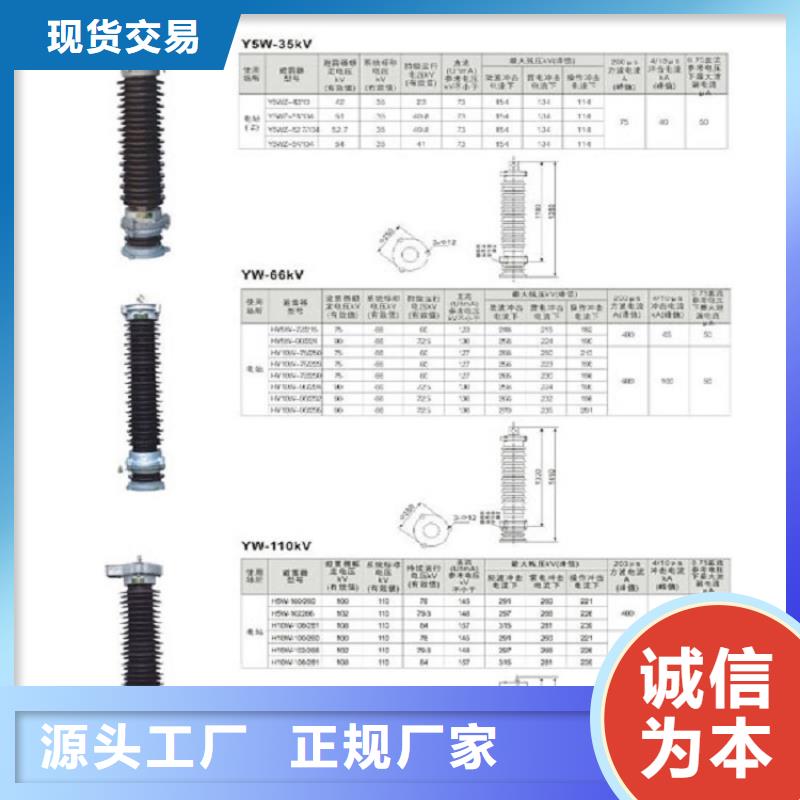 復合外套氧化鋅避雷器HY10WZ-51/134GY【羿振電氣】