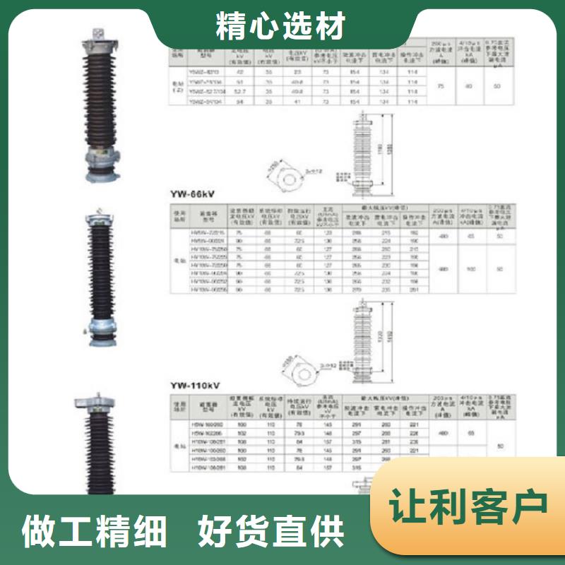 YH10WX-114/297-浙江羿振電氣有限公司