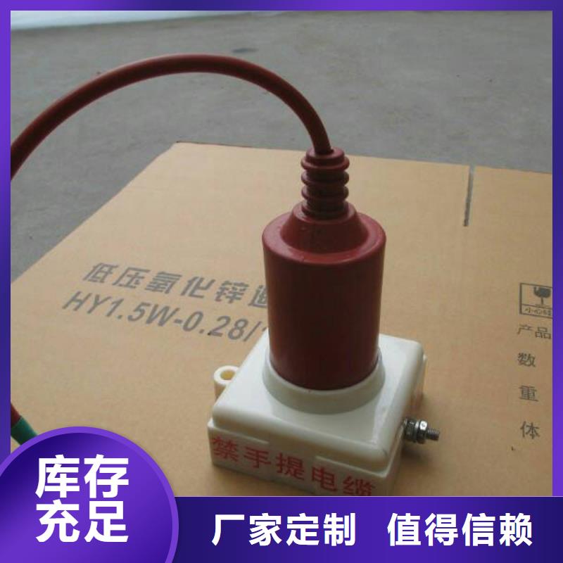 【羿振電力設備】過電壓保護器TBP-C-10.5/131