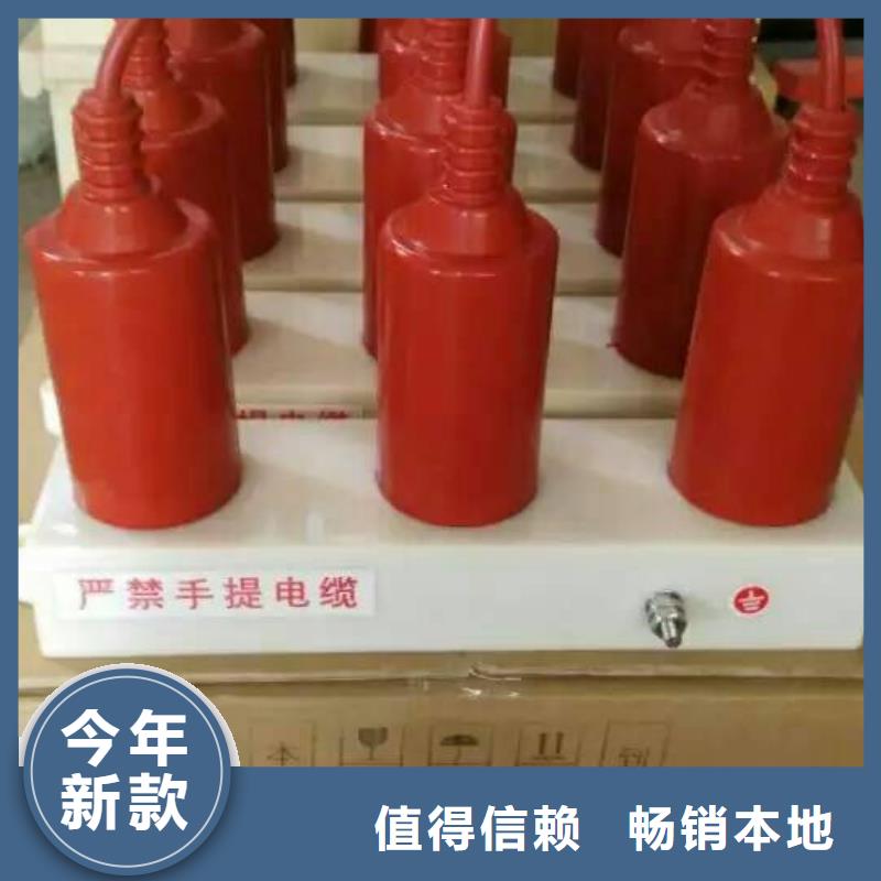 【羿振牌】〖過電壓保護器〗TBP-A-35/200廠家直銷