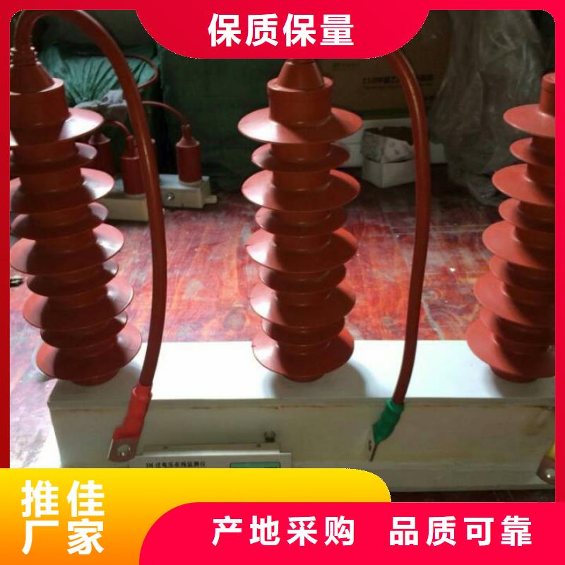 【羿振電力設備】過電壓保護器TBP-A-42F/400W
