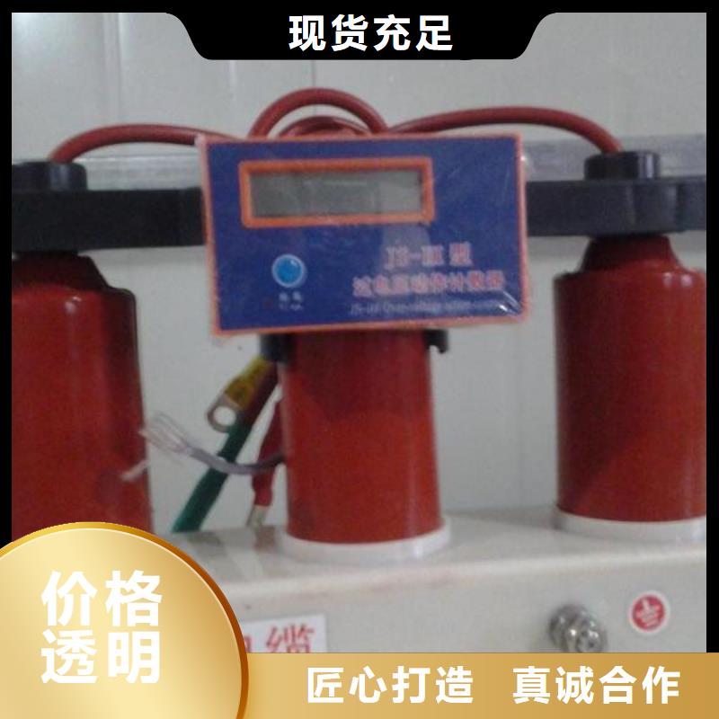 RY-GDY2-C/6組合過電壓保護器