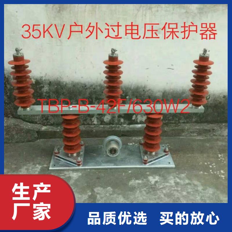 【組合式避雷器/過(guò)電壓保護(hù)器】TBP-B-12.7/131