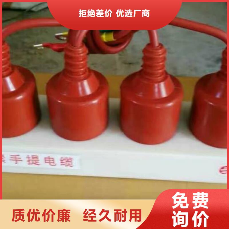 TBP-B-35KV過電壓保護器生產廠家