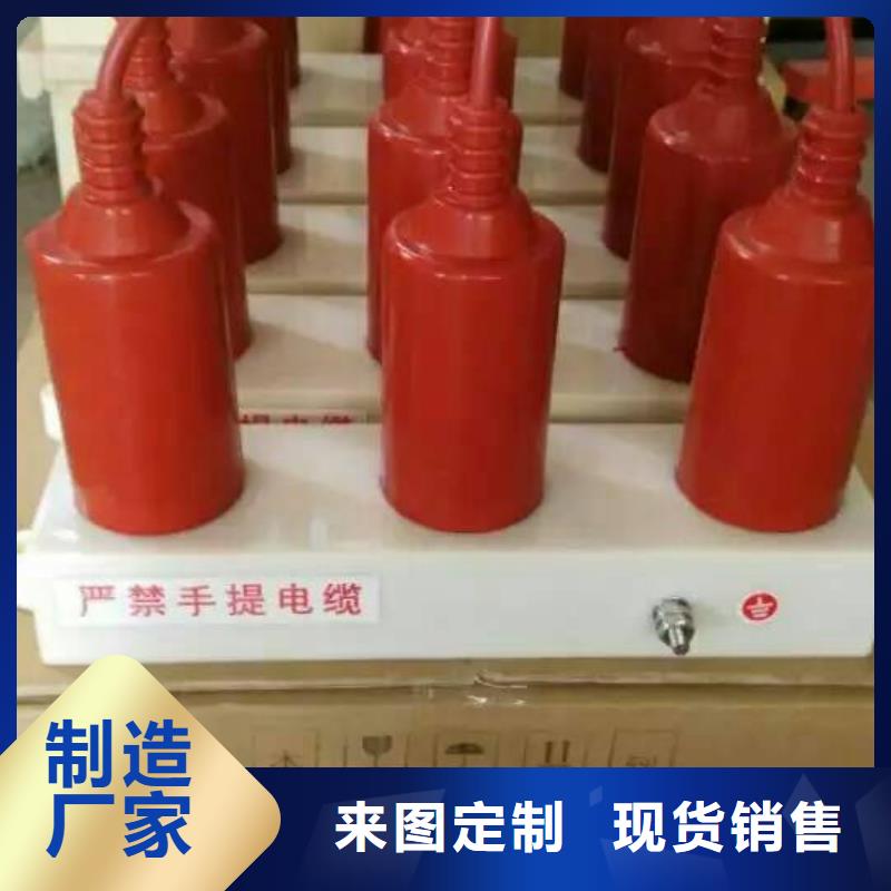【羿振電氣】過電壓保護(hù)器BSTG-A-7.2-J