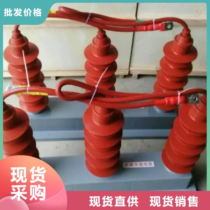 【羿振牌】〖過電壓保護器〗TBP-A-35/200廠家直銷