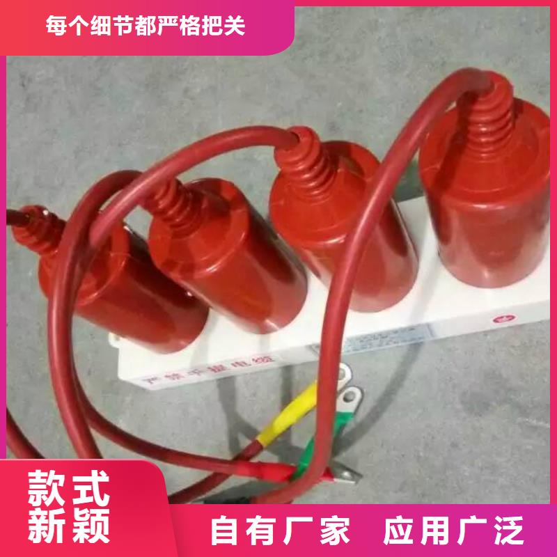 【羿振電力設備】過電壓保護器TBP-A-42F/400W