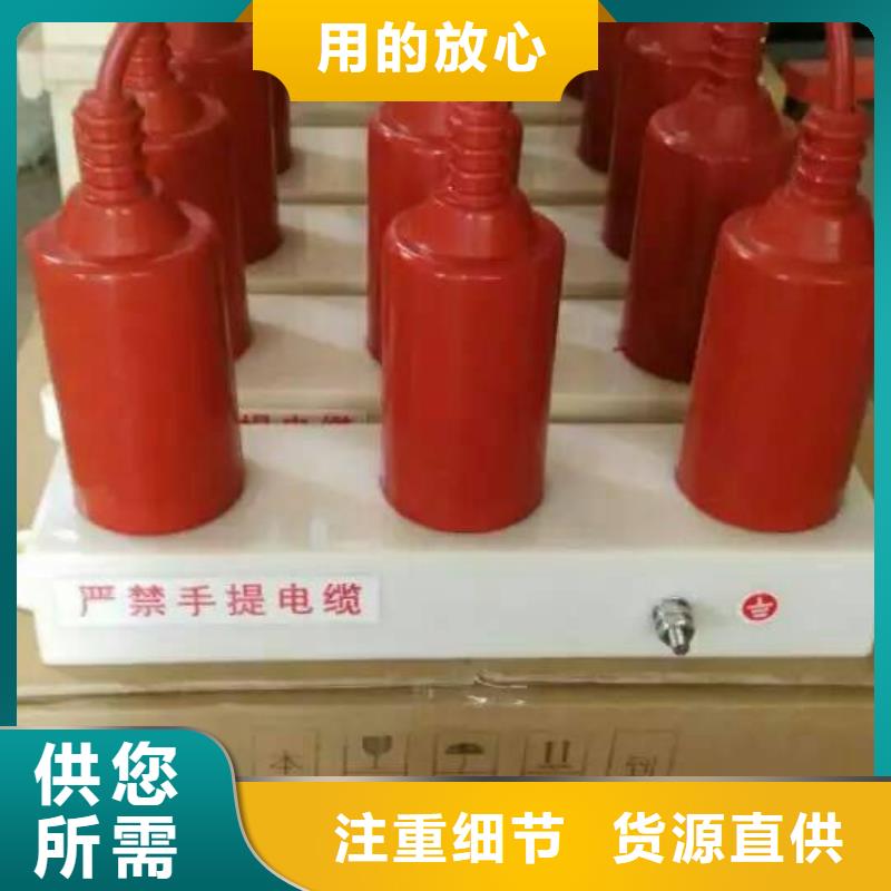 羿振電氣牌：TBP-B-7.6F/131-J-過電壓保護器避雷器生產廠家
