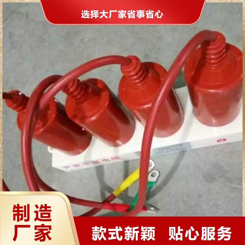 RY-GDY2-C/6組合過電壓保護器