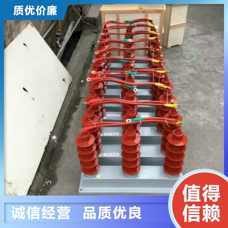【組合式避雷器/過(guò)電壓保護(hù)器】TBP-A-6.3/131-J