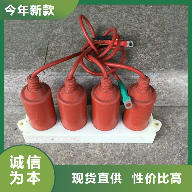 ＿保護(hù)器(組合式避雷器)TBP-A-42F/280-IM