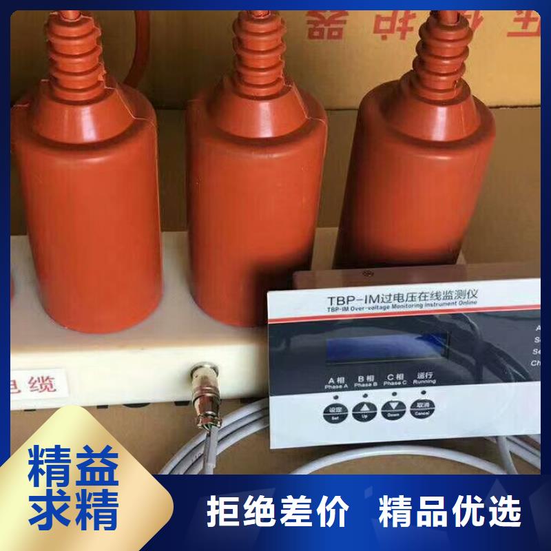 【羿振電力設備】過電壓保護器TBP-C-10.5/131