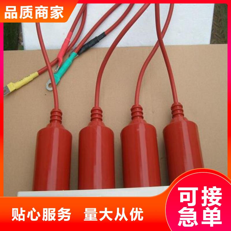 羿振電氣牌：TBP-B-7.6F/131-J-過電壓保護器避雷器生產廠家