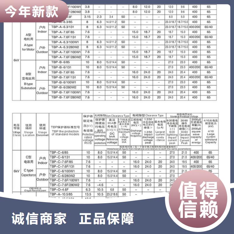 羿振電氣牌：TBP-B-7.6F/131-J-過電壓保護器避雷器生產廠家