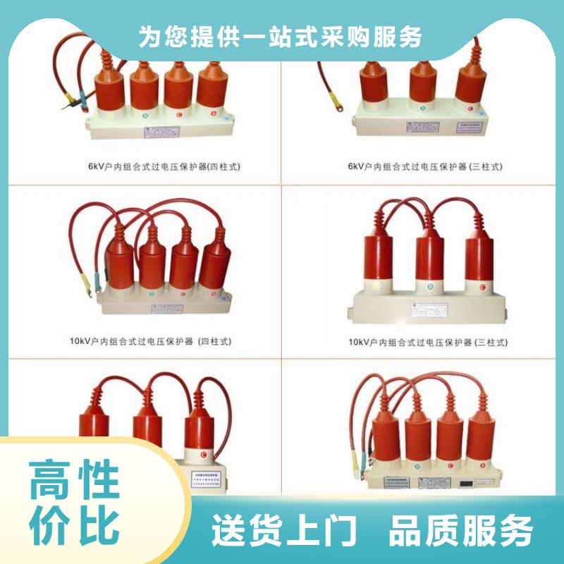 ＿保護器(組合式避雷器)TBP-W-A/10-F組合過電壓保護器