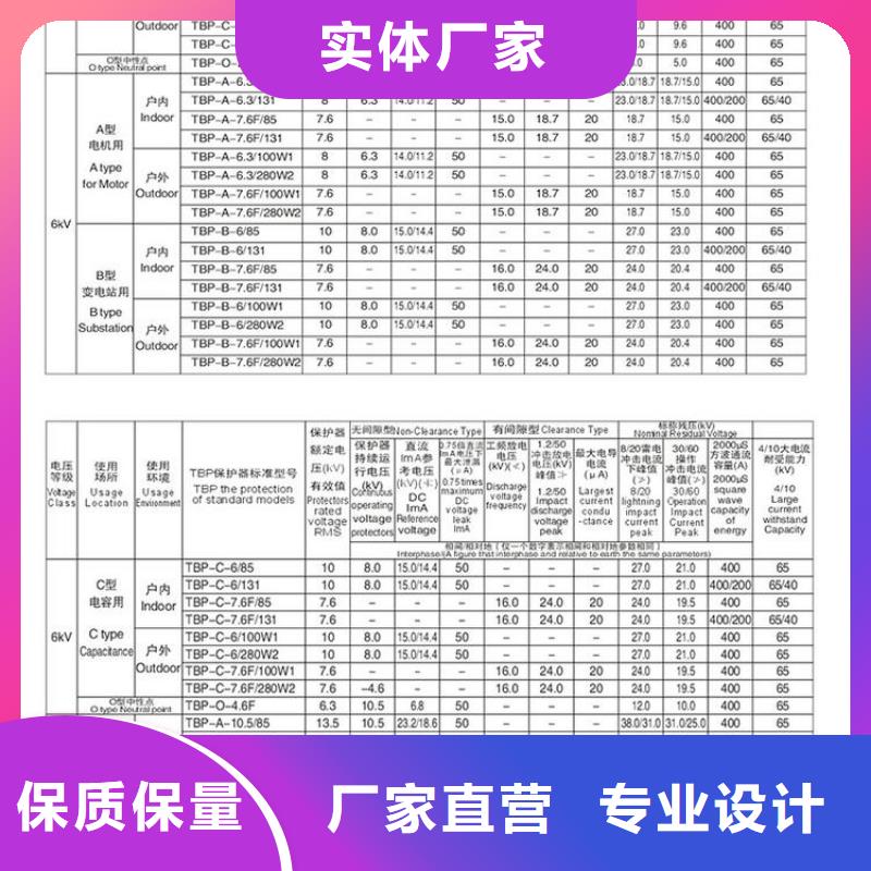 【羿振電力設備】過電壓保護器TBP-C-10.5/131