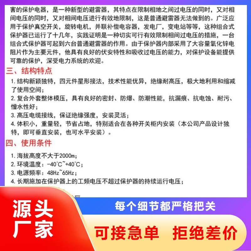 【羿振電力設備】過電壓保護器TBP-A-42F/400W