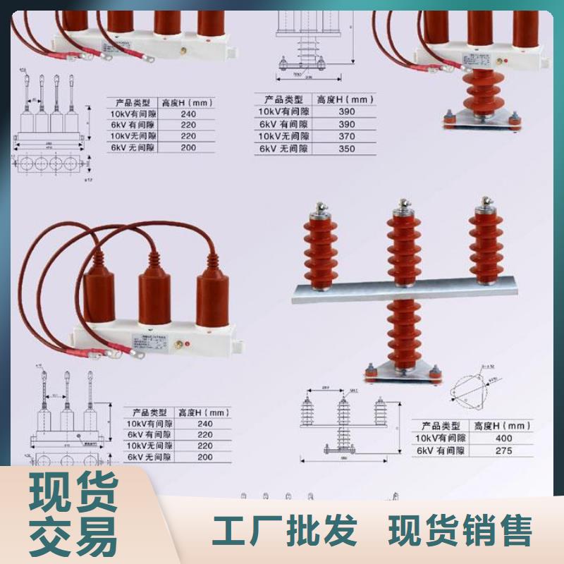 過電壓保護器(組合式避雷器)TBP-B-6.3/F