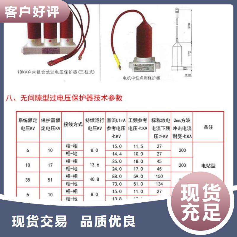 TBP-B-35KV過電壓保護器生產廠家