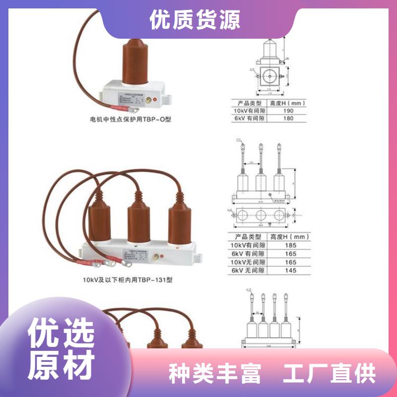 保护器(组合式避雷器)YD800-C-12.7KV/F