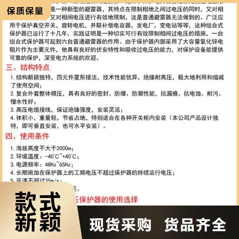 【組合式避雷器/過(guò)電壓保護(hù)器】TBP-A-6.3/131-J