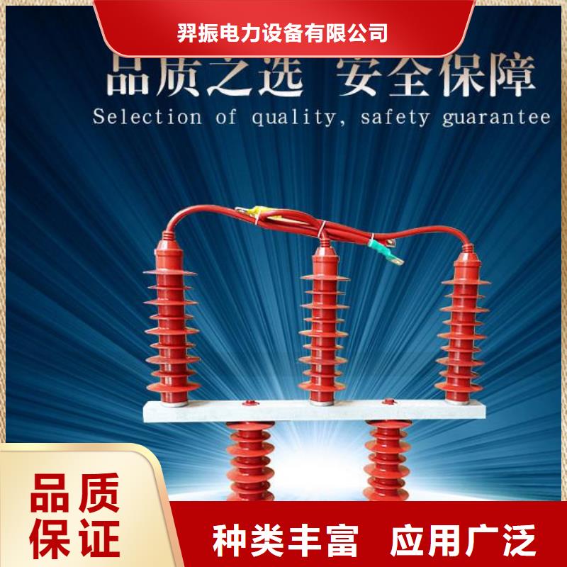 【羿振牌】〖過電壓保護器〗TBP-A-35/200廠家直銷