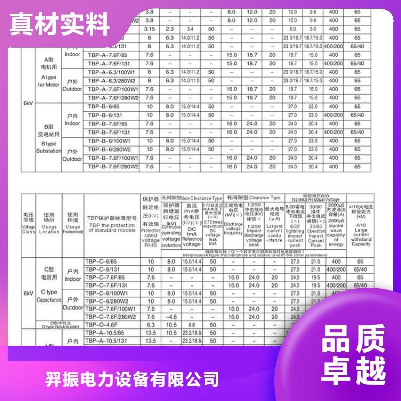 ＿保護(hù)器(組合式避雷器)TBP-A-42F/280-IM
