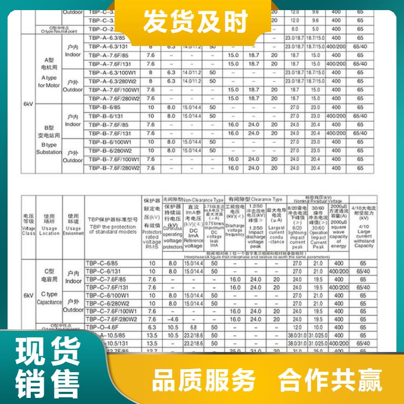 【组合式避雷器/过电压保护器】TBP-A-7.6/131-J