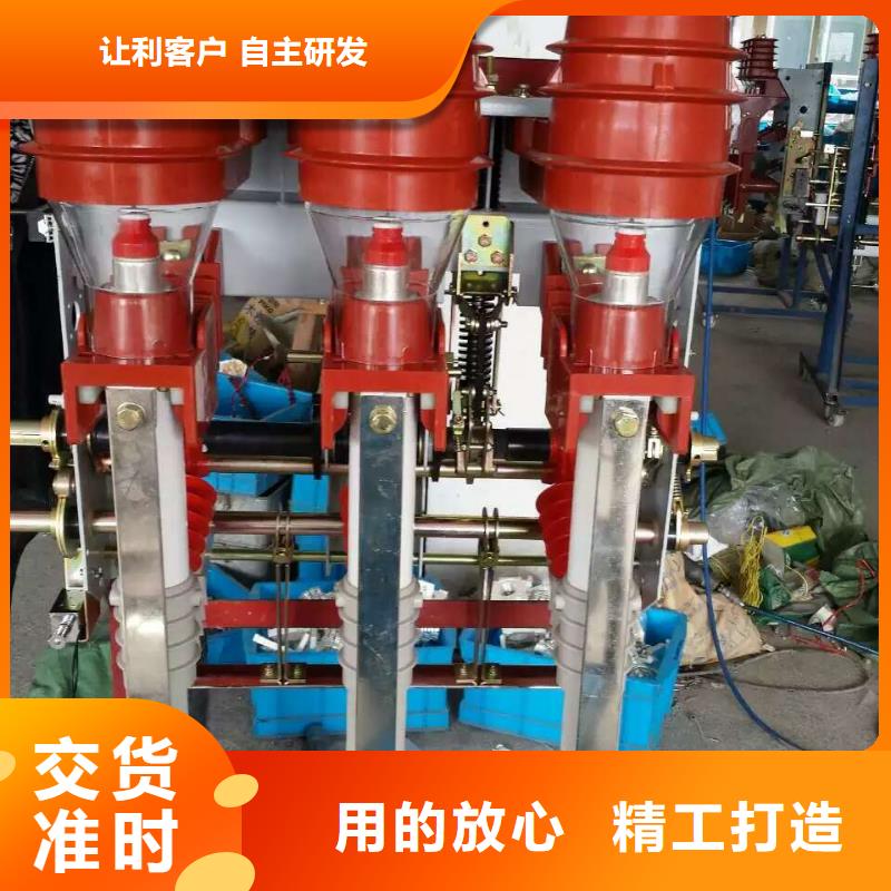 戶(hù)內(nèi)高壓負(fù)荷開(kāi)關(guān)FZN21A-12/125-31.5