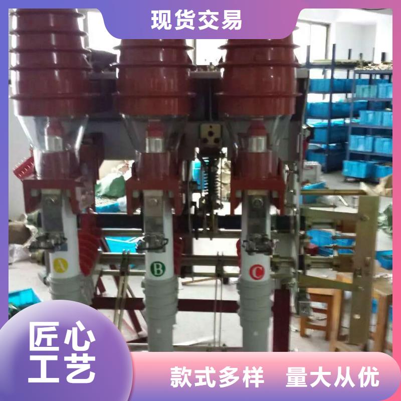 戶內(nèi)高壓負(fù)荷開關(guān)FZN12-10RD/125-31.5_