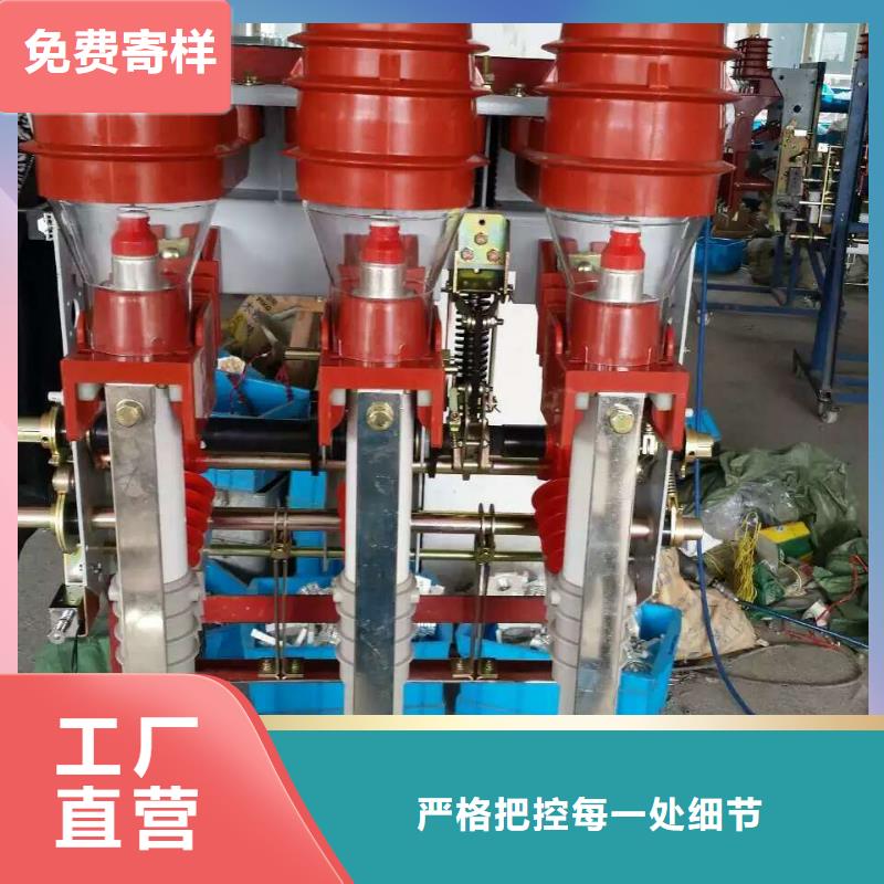 戶(hù)內(nèi)高壓負(fù)荷開(kāi)關(guān)FZN21A-12/125-31.5