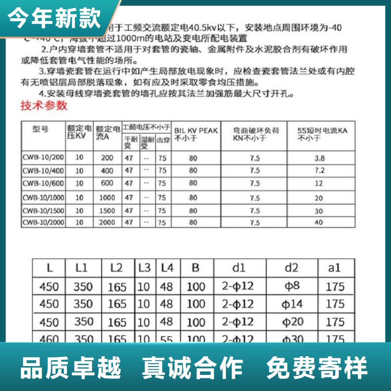 穿墻套管CWWL-35/2500A