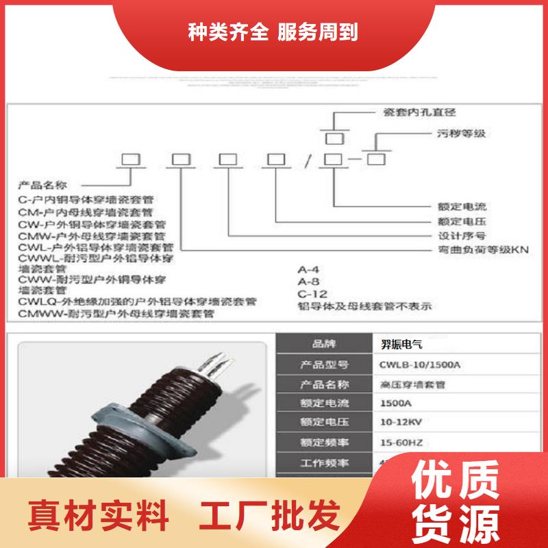 〖高壓穿墻套管〗CB-10/630A價格