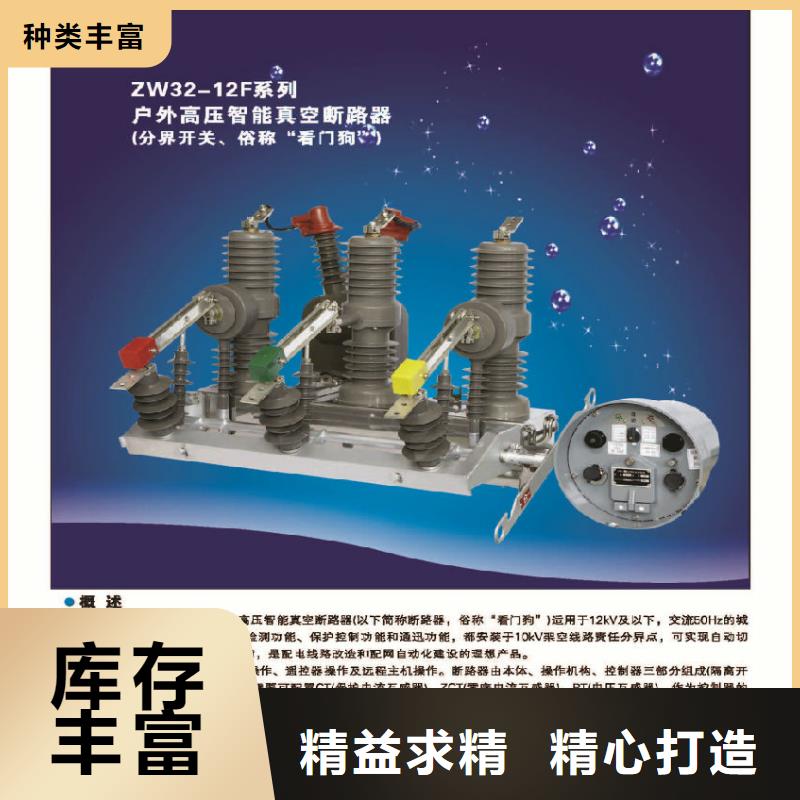 ZW32-12FG/630-25
實體廠家