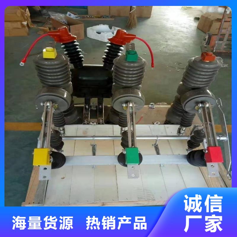 【真空斷路器】ZW32-12G/T630-25