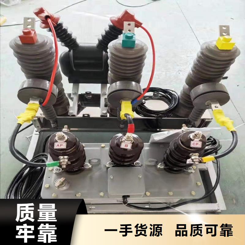 【斷路器】永磁真空斷路器ZW32-12G/M
