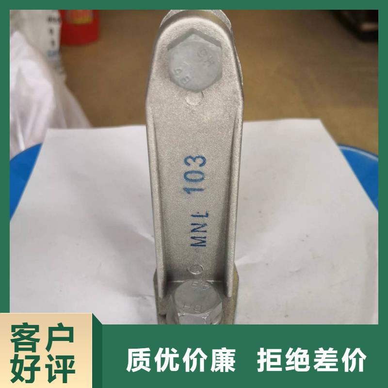 ZSW-110/8.5支柱絕緣子【上海羿振電力設(shè)備有限公司】