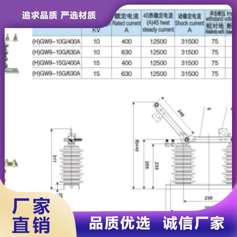 戶外高壓交流隔離開關：HGW9-15KV/630A暢銷全國.