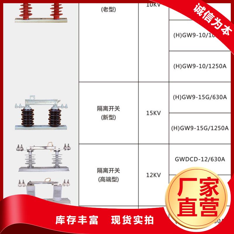 高壓隔離開關*GW9-10G(W)/200廠家報價.
