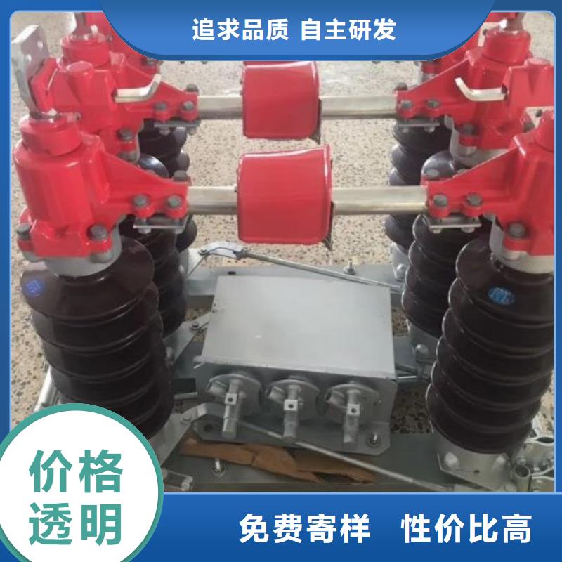 高压隔离开关HGW1-10KV/400A