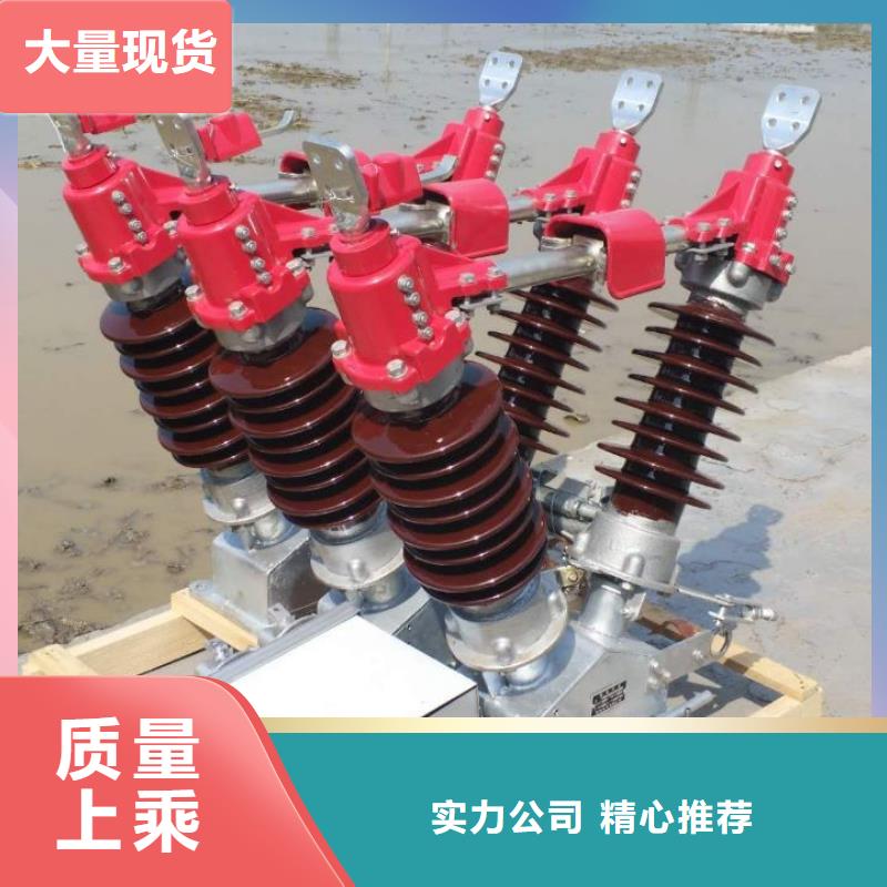 【羿振電氣】高壓隔離開(kāi)關(guān)GW4-40.5GDW/630A.