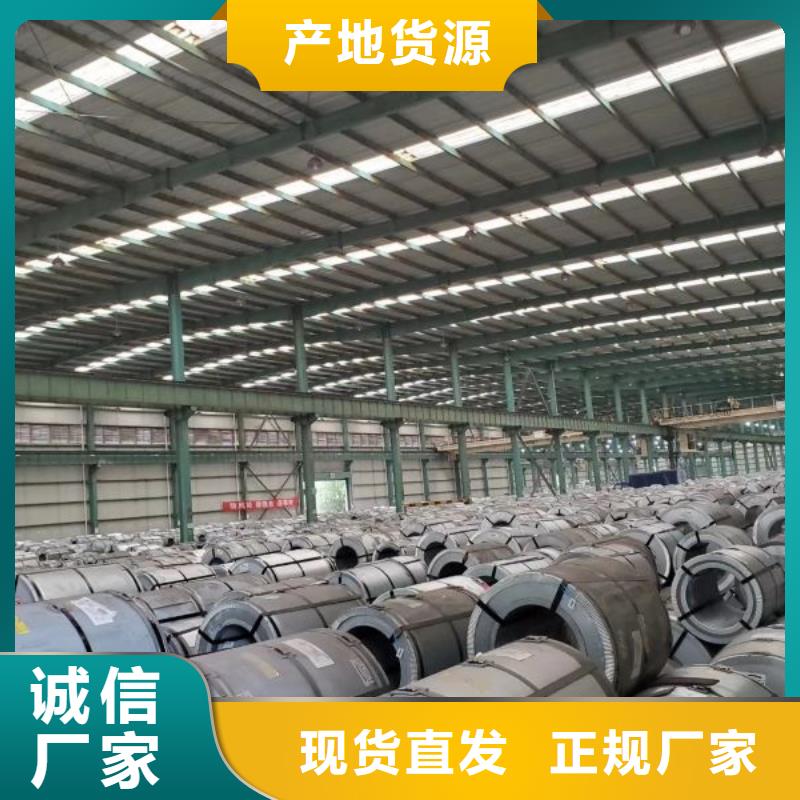硅鋼現貨武鋼DW291-35標準