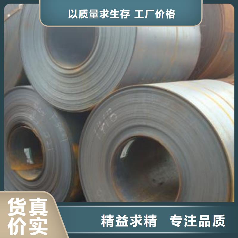 新能源硅钢视频-沈阳市新能源硅钢-(此地)可服务区域辽中|新民|阜新|朝阳|辽阳|营口|本溪