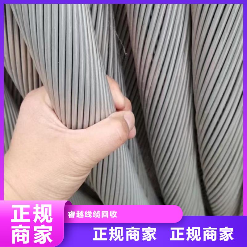 铝合金桥架视频-铝合金桥架-广东省肇庆市鼎湖|德庆|梅州|潮州|揭阳|湛江该地厂家