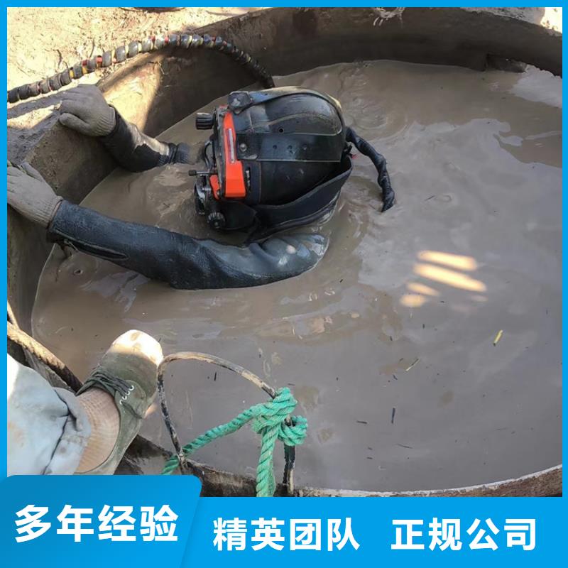 供應(yīng)水下管道氣囊封堵_廠家