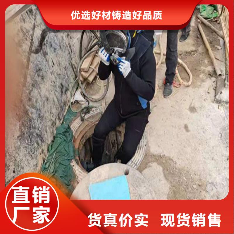 天津市潛水員打撈隊(水庫堵漏水下施工/專業打撈隊)