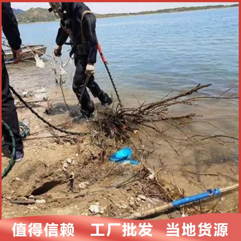 臺(tái)州市
潛水打撈-承接水下工作