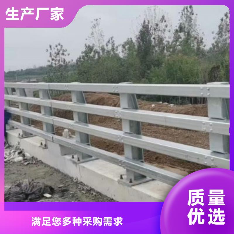 護(hù)欄_河堤防撞護(hù)欄大廠家實(shí)力看得見