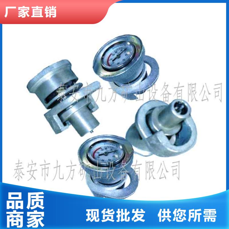 DZ-CL-2單體支柱測力計批發價